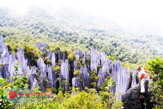 các khu du lịch sinh thái nổi tiếng thế giới - Vườn quốc gia Gunung Mulu ở Malaysia 