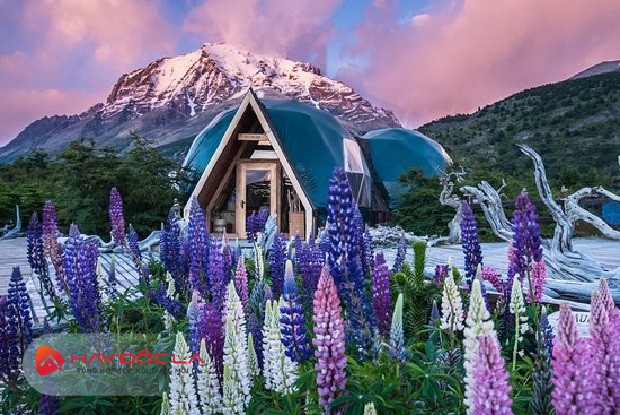 các khu du lịch sinh thái nổi tiếng thế giới - Eco Camp Patagonia ở Chile