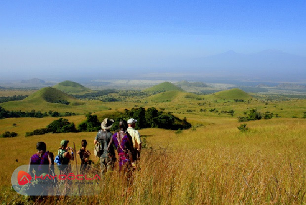 các khu du lịch sinh thái nổi tiếng thế giới - Campi ya Kanzi ở Kenya 