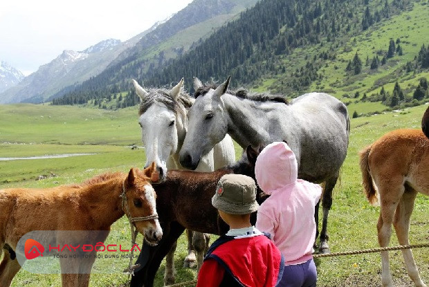 các khu du lịch sinh thái nổi tiếng thế giới - Jyrgalan ở Kyrgyzstan
