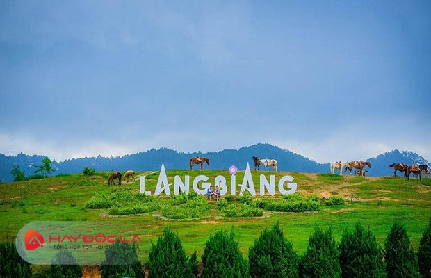 phong cảnh đỉnh Langbiang