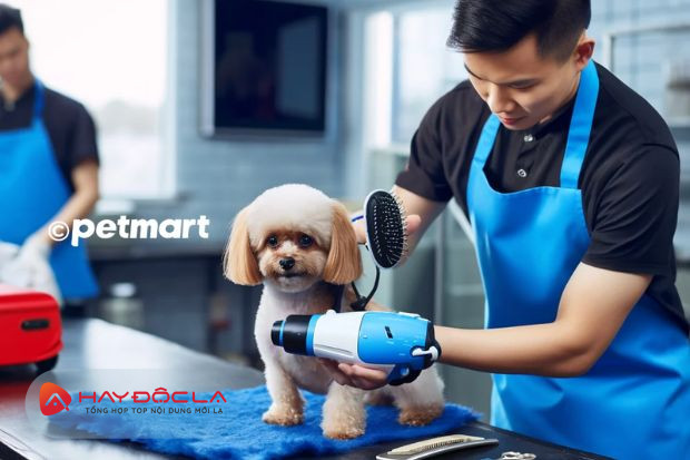 Pet Mart - dịch vụ tắm chó mèo Hà Nội