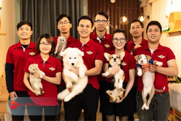 Azpet Spa - dịch vụ tắm chó mèo Hà Nội