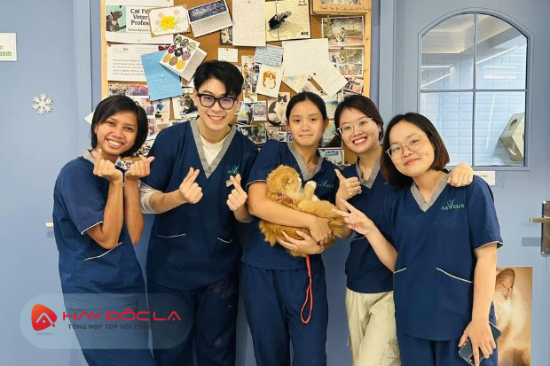 Asvelis Veterinary Hospital - dịch vụ tắm chó mèo Hà Nội