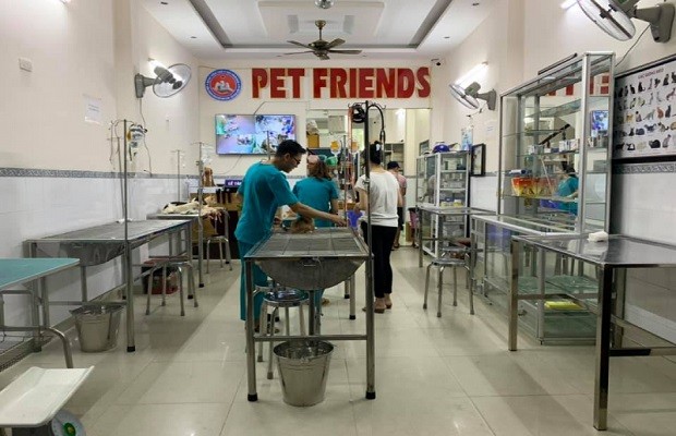 Phòng khám thú y Nha Trang - Bệnh viện thú y Pet Friends