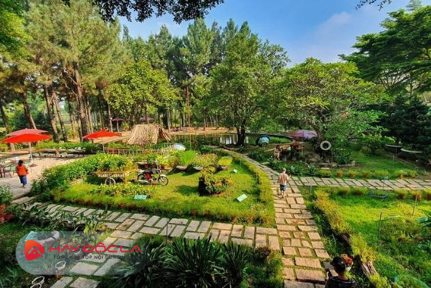 Định Hòa Garden địa điểm du lịch Bình Dương đầy thơ mộng