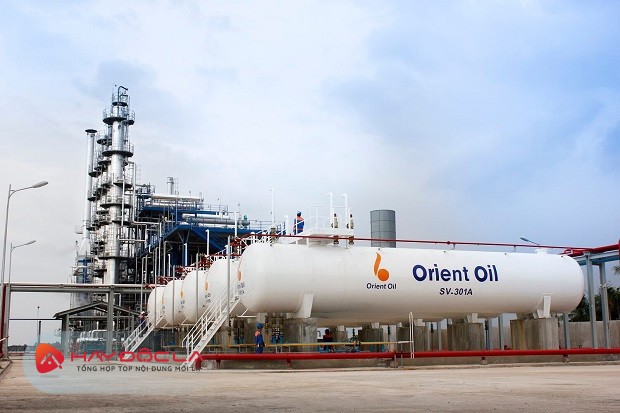 các công ty xăng dầu ở Việt Nam uy tín nhất - Đông Phương