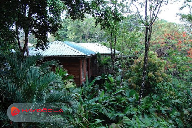  các khu du lịch sinh thái nổi tiếng thế giới - Trang trại Copal Tree ở Belize
