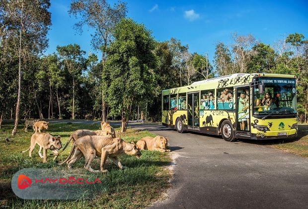 công viên giải trí lớn nhất việt nam - Vinpearl Safari Phú Quốc
